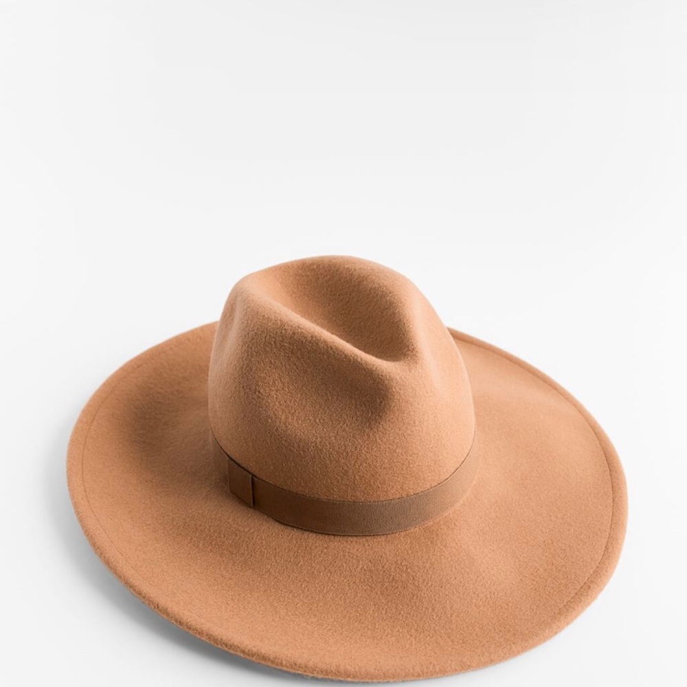 Zara Felt Hat